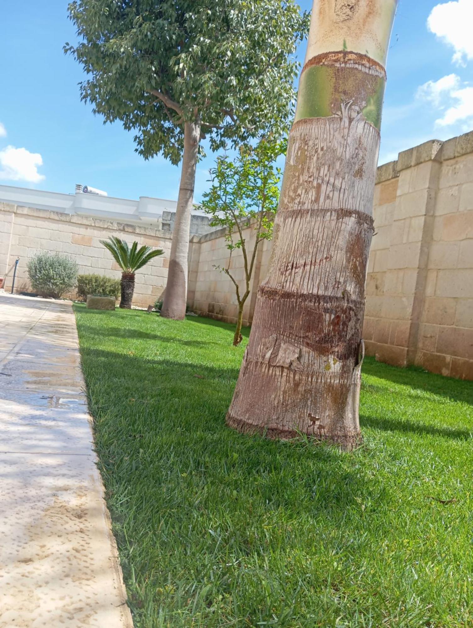 Villa Serena Bagnolo del Salento Exterior foto